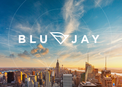 BluJay Solutions Transportation Management: