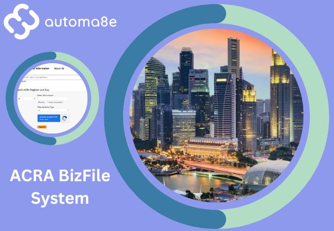ACRA BizFile System: A Comprehensive Guide to Company Registration and Annual Returns 